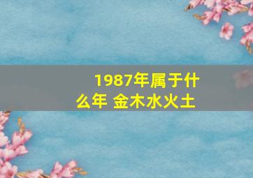 1987年属于什么年 金木水火土